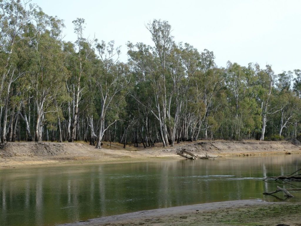 Legal stoush between Commonwealth and NSW over crucial water flows into Murray-Darling Basin avoided