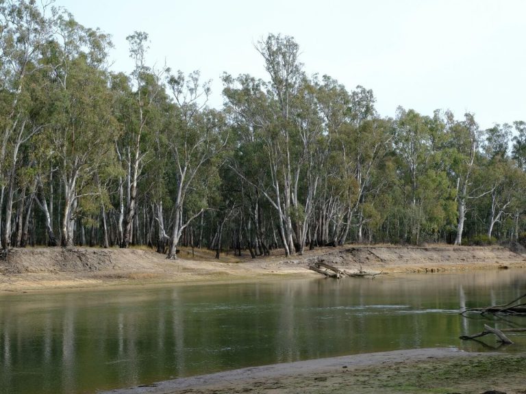 Legal stoush between Commonwealth and NSW over crucial water flows into Murray-Darling Basin avoided