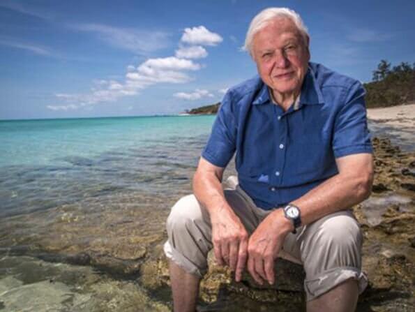 This holiday season, don’t miss David Attenborough’s Ocean