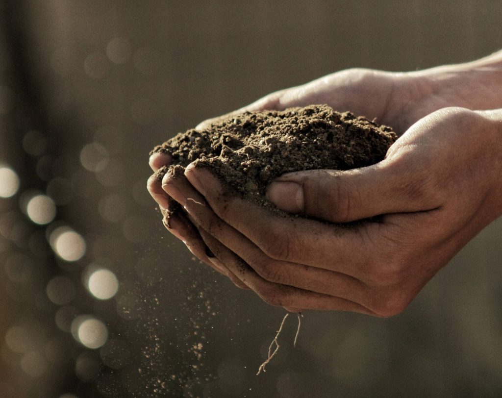 New eco burial options are emerging across Australia